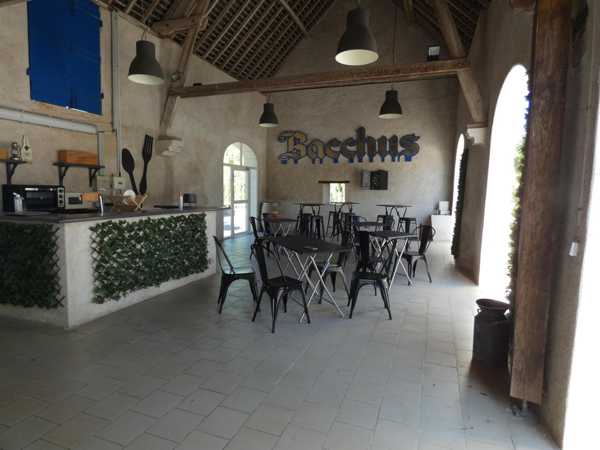 Moulin De Bacchus - Chateaux De La Loire Chancay Exterior photo
