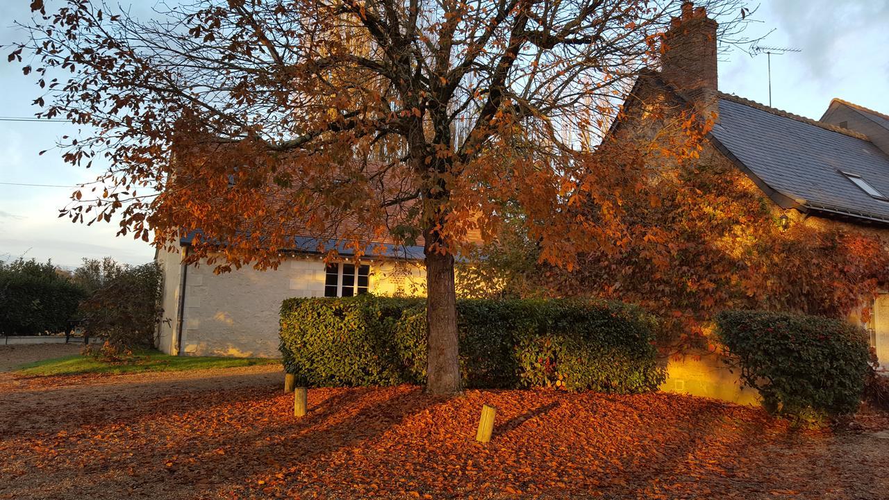 Moulin De Bacchus - Chateaux De La Loire Chancay Exterior photo